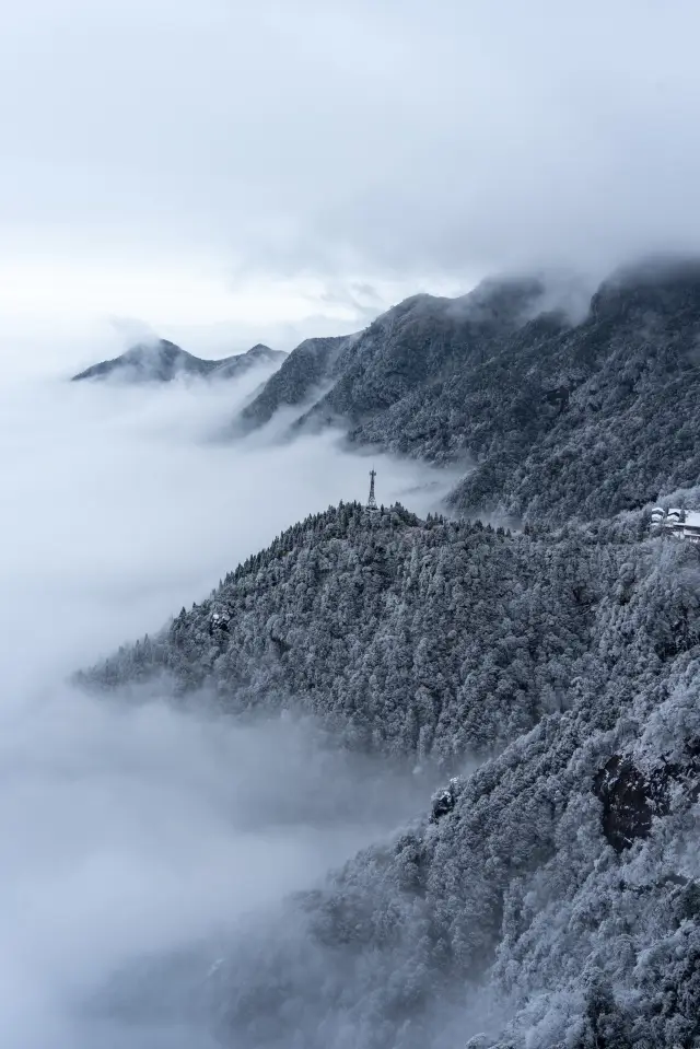 The little potato from the south was captivated by the snowy scenery of Wugong Mountain