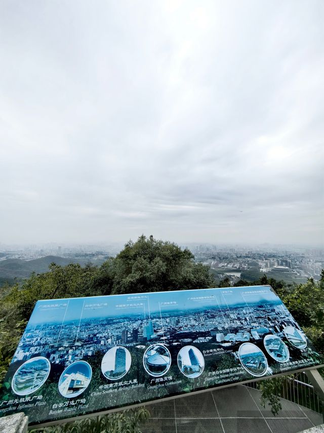 必打卡：雲山登頂絕美景觀扶梯