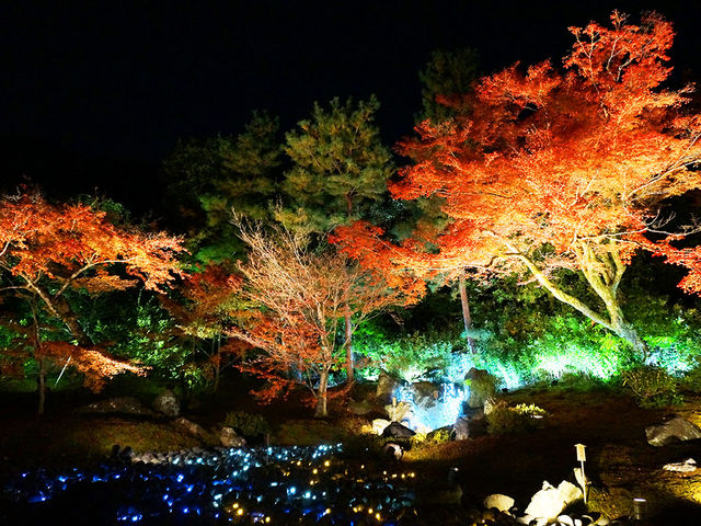 打卡京都寶嚴院