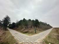 《黃河彎又長•漢武帝》