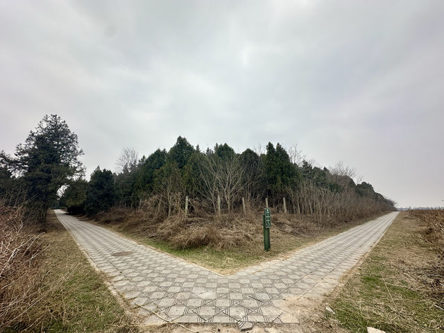 《黃河彎又長•漢武帝》
