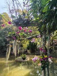 廈門植物園，值得去一次的植物園