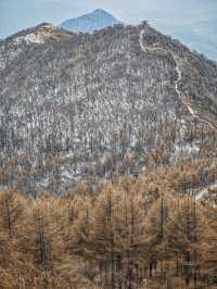 白石山｜北方小黃山一步一景