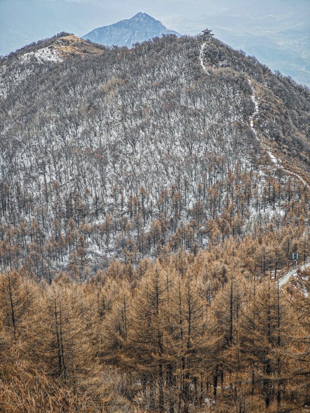 白石山｜北方小黃山一步一景