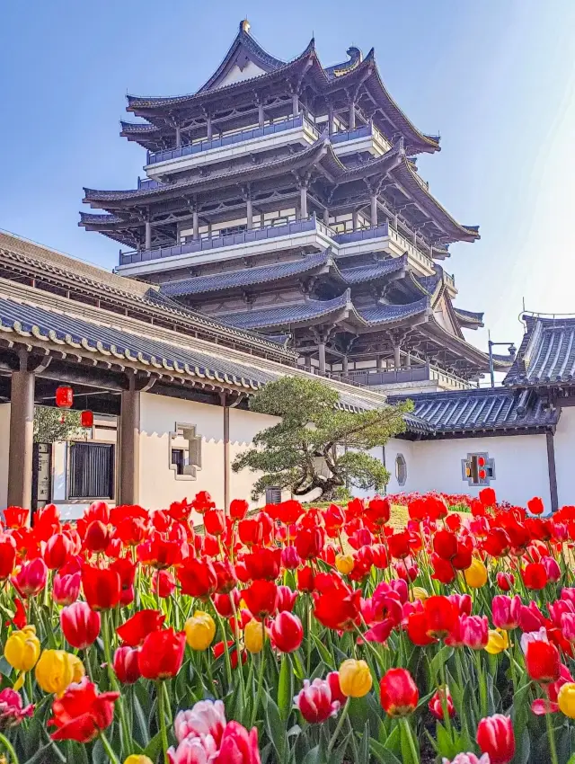 The ancient-style courtyard in Guangzhou, more beautiful than the Yuntai Garden, is filled with tulips!!