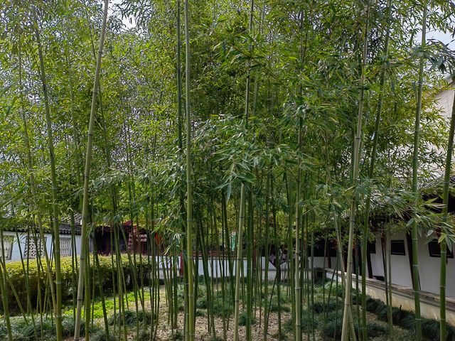 小巧別緻的常熟燕園 小巧別緻的常熟燕園