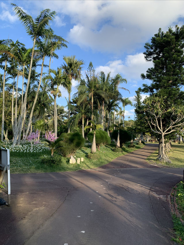 沖繩·東南植物樂園｜赴一場童話般的綠野仙蹤