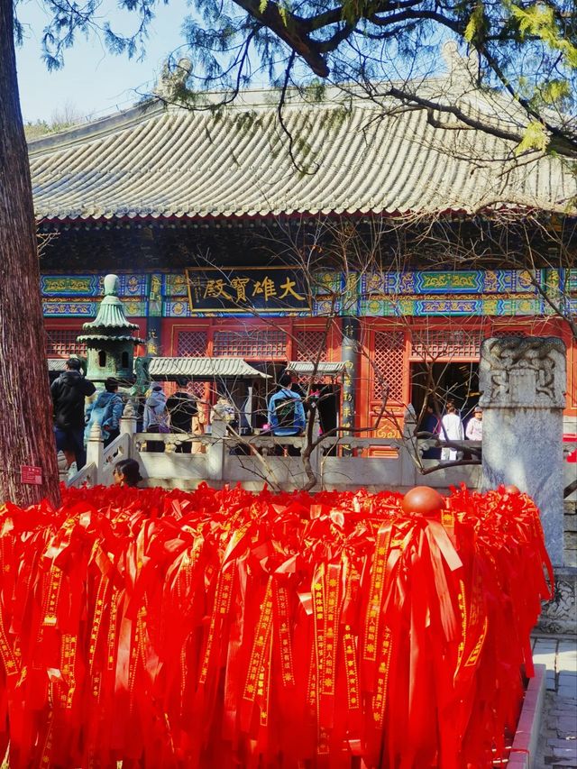不知道週末在北京哪裡玩的，可以去紅螺寺！