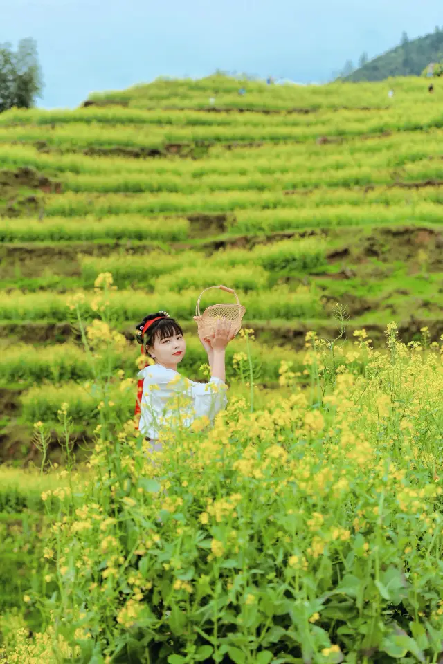 Spring Outing Memoir | Found a world just like Miyazaki's in Wuyuan!