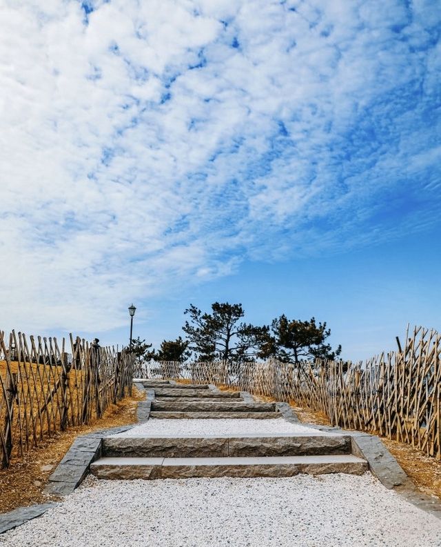 青島旅遊｜小麥島絕美勝地