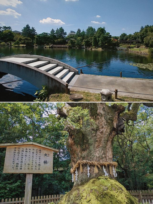 到名古屋旅行，不要錯過熱田神宮！