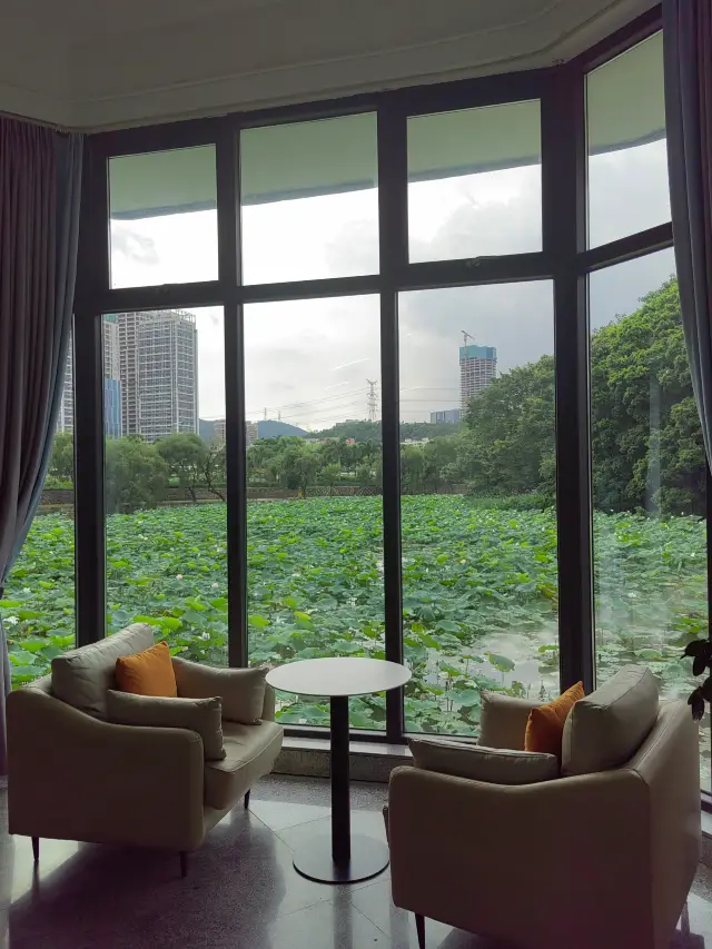 Shenzhen!! A library with a view full of lotus scenery!! Who hasn't been there yet!!