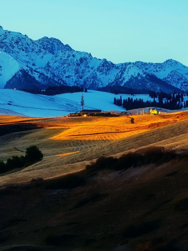 新疆：風吹麥浪的江布拉克