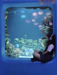 深圳海洋館|掉入 藍色夢境🫧