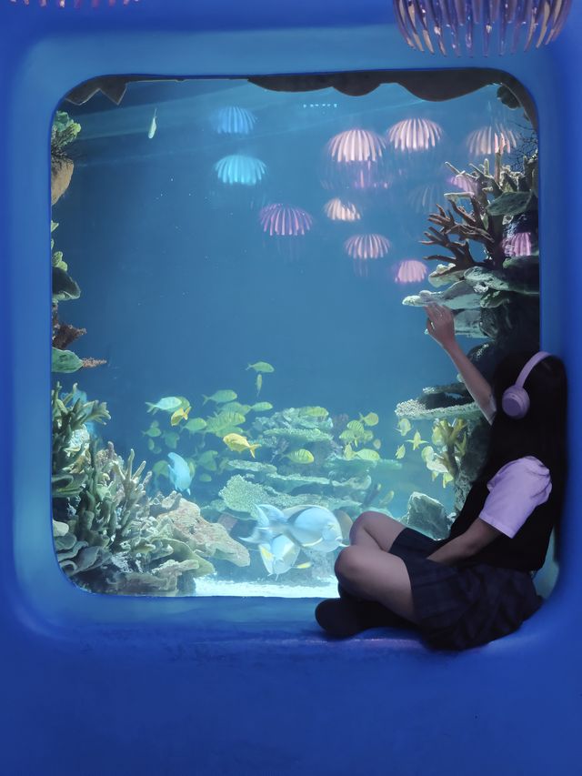 深圳海洋館|掉入 藍色夢境🫧