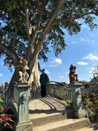 巴厘島|烏布小眾景點Bayan Ancient Tree