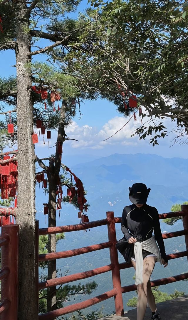 遠赴人間驚鴻宴，登高眺群峰，見自己