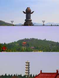 南山大佛親測詳遊攻略，靜心祈福好運常在
