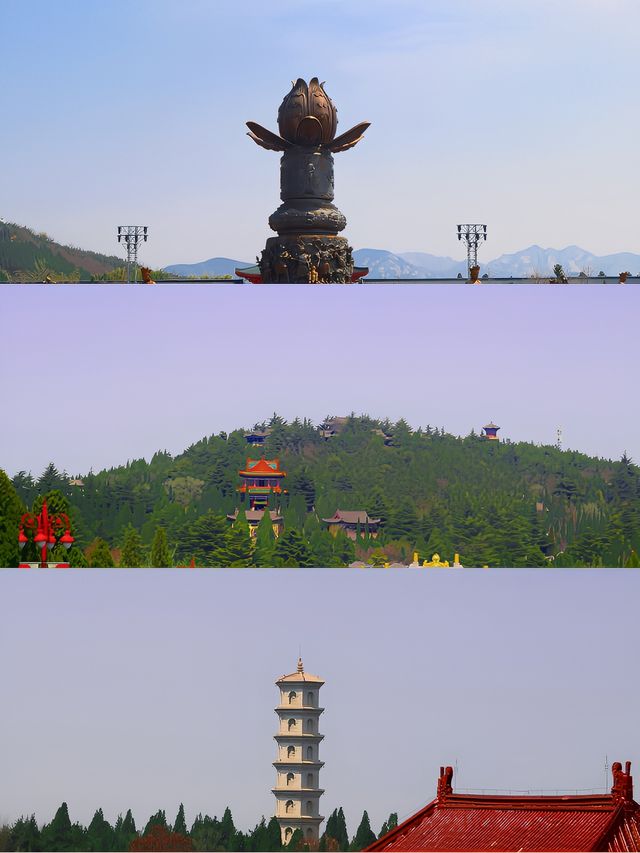 南山大佛親測詳遊攻略，靜心祈福好運常在