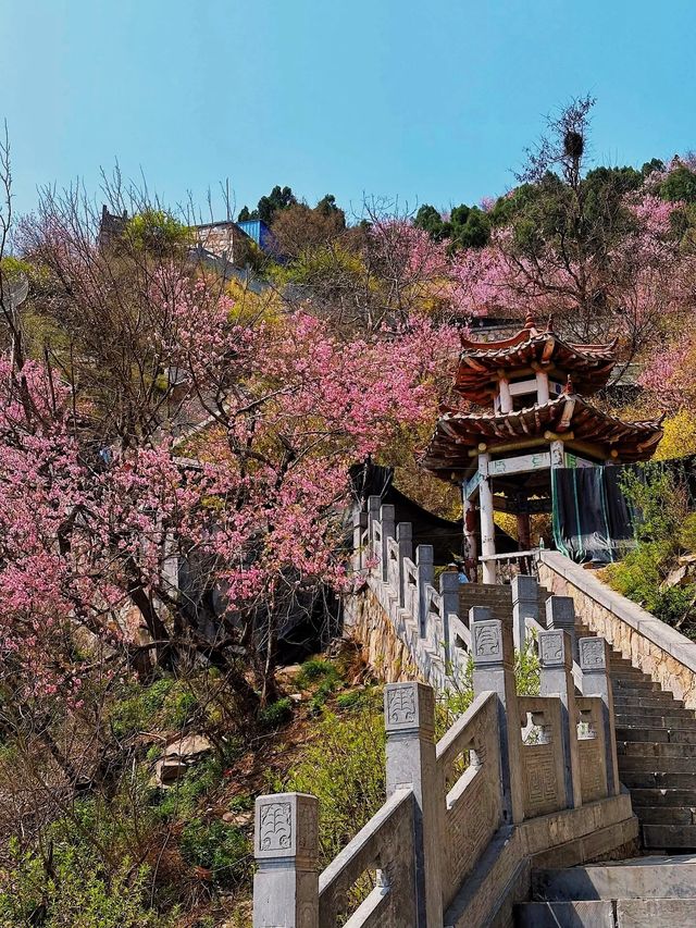 鄭州100個免費遊玩寶藏景點——始祖山