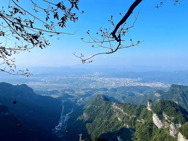 「穿越仙境！張家界旅行指南」