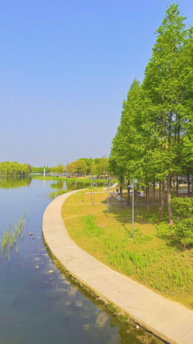 魔都西區的都市森林遠香湖公園