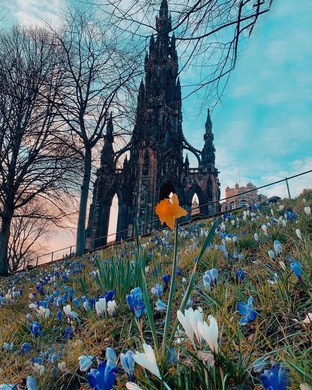 春日裡的愛丁堡！