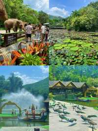 一定還會再去的地方西雙版納