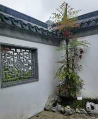 上海老姐姐的拍照聖地——申園