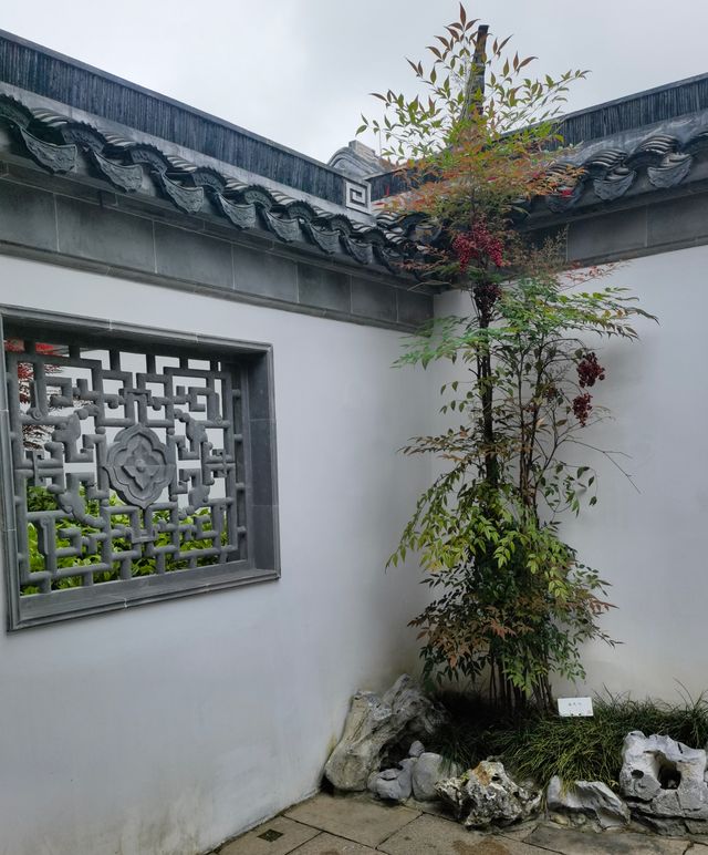 上海老姐姐的拍照聖地——申園