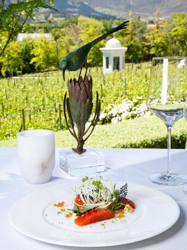 🌟 Franschhoek's Finest: Luxe Leeu Estates Stay 🏨✨