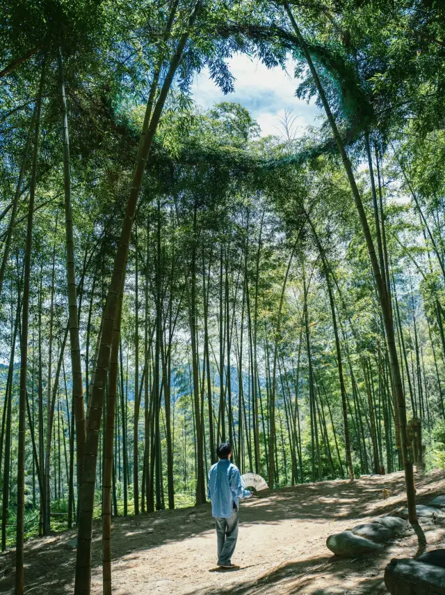 So far, my favorite small town in Zhejiang and Shanghai!