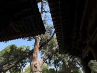 晉祠