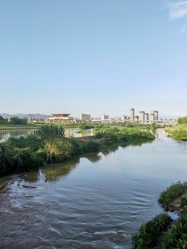 東陽濕地公園，綠意盎然，鮮花盛開