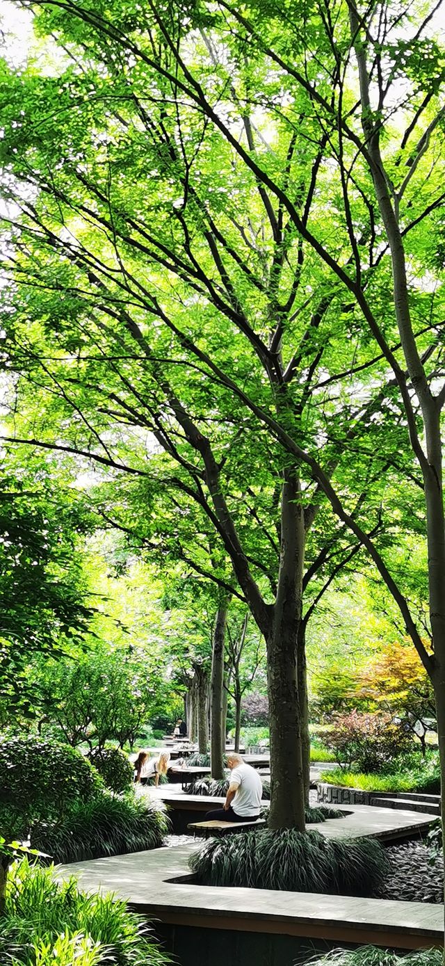 長壽公園：普陀人家門口的“清涼世界”