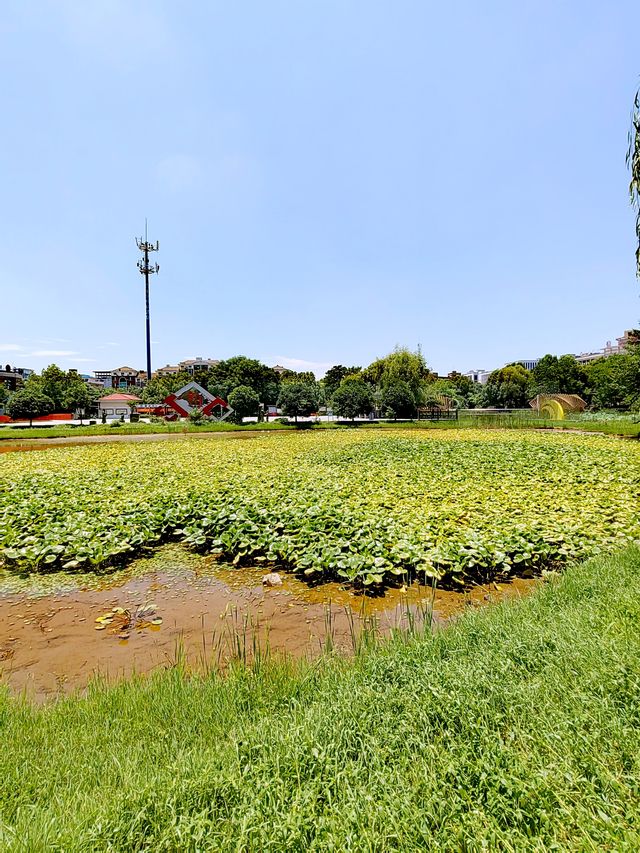 義烏月湖公園，廉以養德，潔以修身