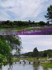 瞎拍夏天 | 終於來到心心念念的西來古鎮啦