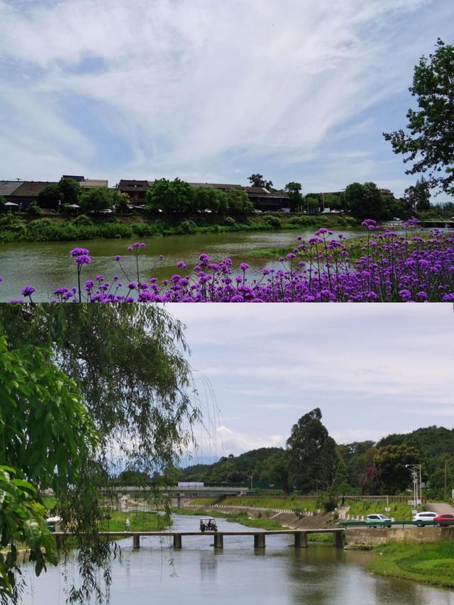 瞎拍夏天 | 終於來到心心念念的西來古鎮啦