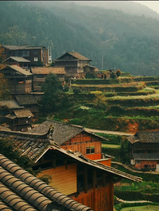 貴州行——堂安梯田