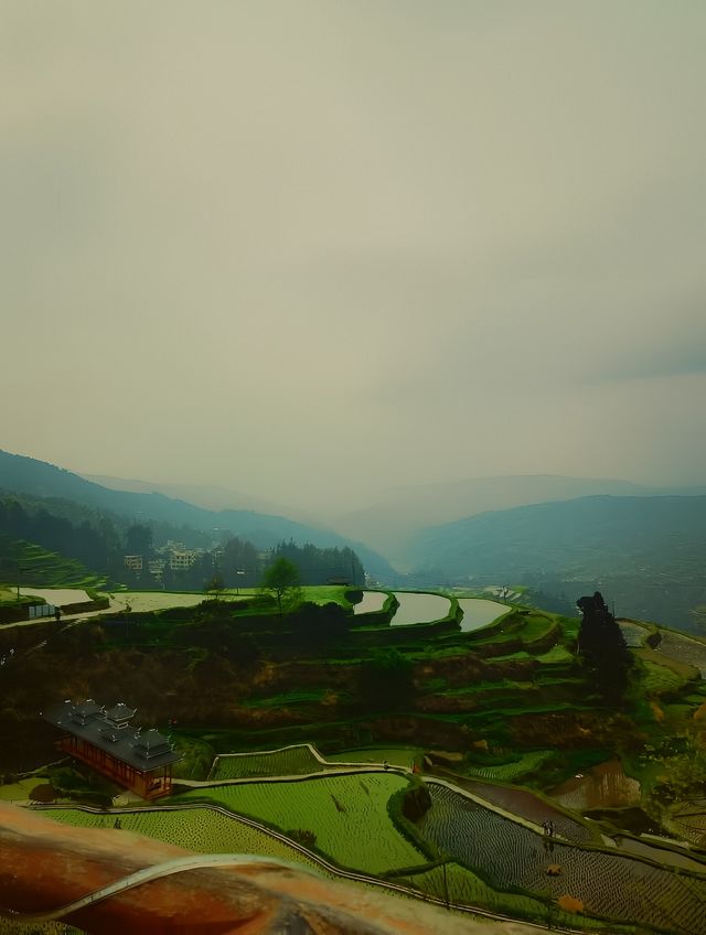 貴州行——堂安梯田