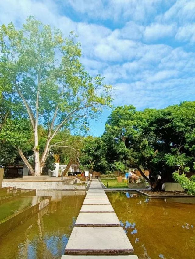 🌟 Guangzhou Getaway: Tranquil B&B Oasis 🏡✨