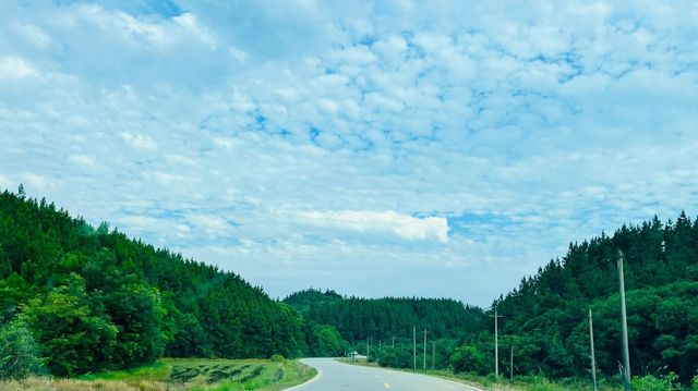 鄱陽湖記