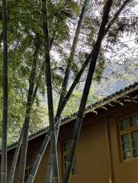 韶關|廣州出發3h直奔阿勒泰