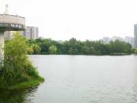 東湖公園：人與自然和諧共生