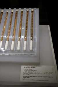 甘肅|武威博物館