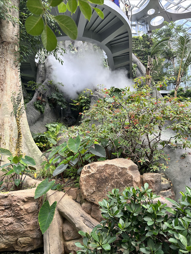 上海遛娃新去處｜上海溫室花園太美了吧