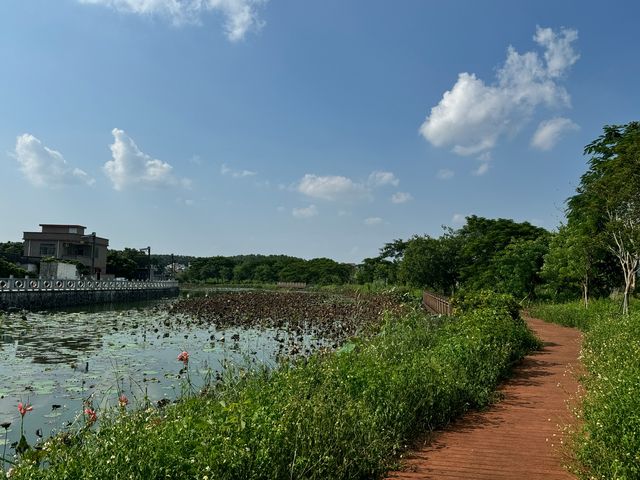 鏡頭下的古韻風情-珠海小眾古村-排山古村。