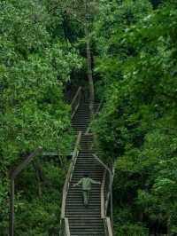 深圳秘境！森林綠道探險🌳