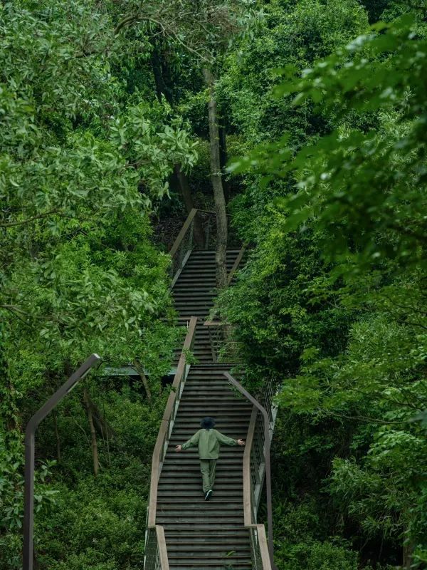 深圳秘境！森林綠道探險🌳