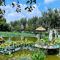 【雲南省/翠湖公園】自然を感じよう！